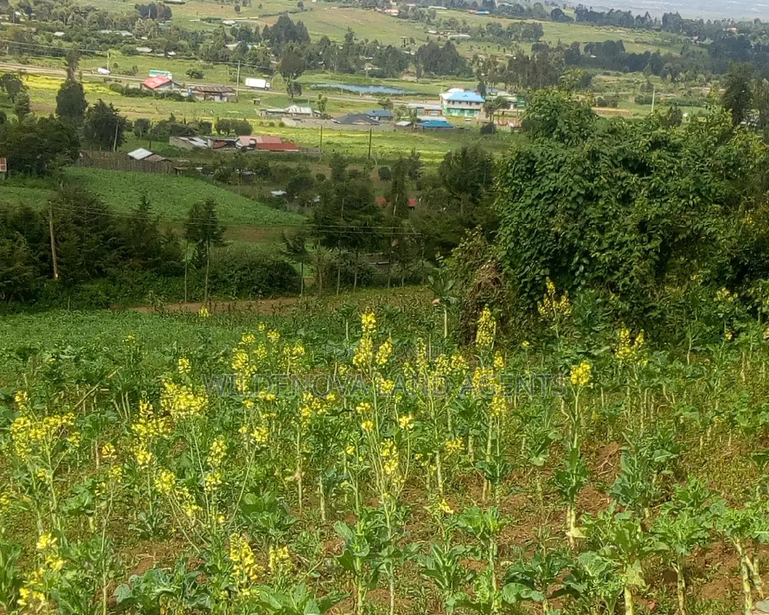 Ihindu Land for Sale in Naivasha: Your Real Estate Journey Begins Here in Naivasha