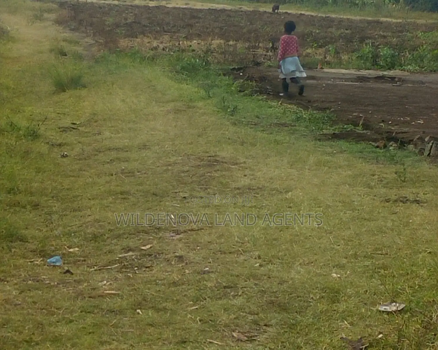 Nyamathi, Naivasha - Discover Your Dream Land for Sale Today! in Naivasha