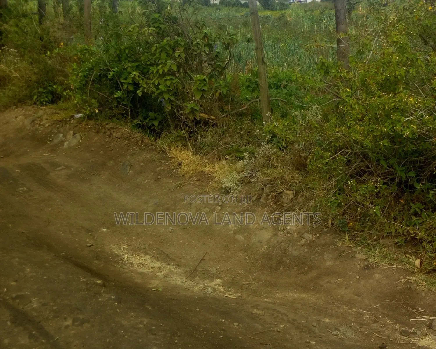 Nyamathi, Naivasha - Discover Your Dream Land for Sale Today! in Naivasha