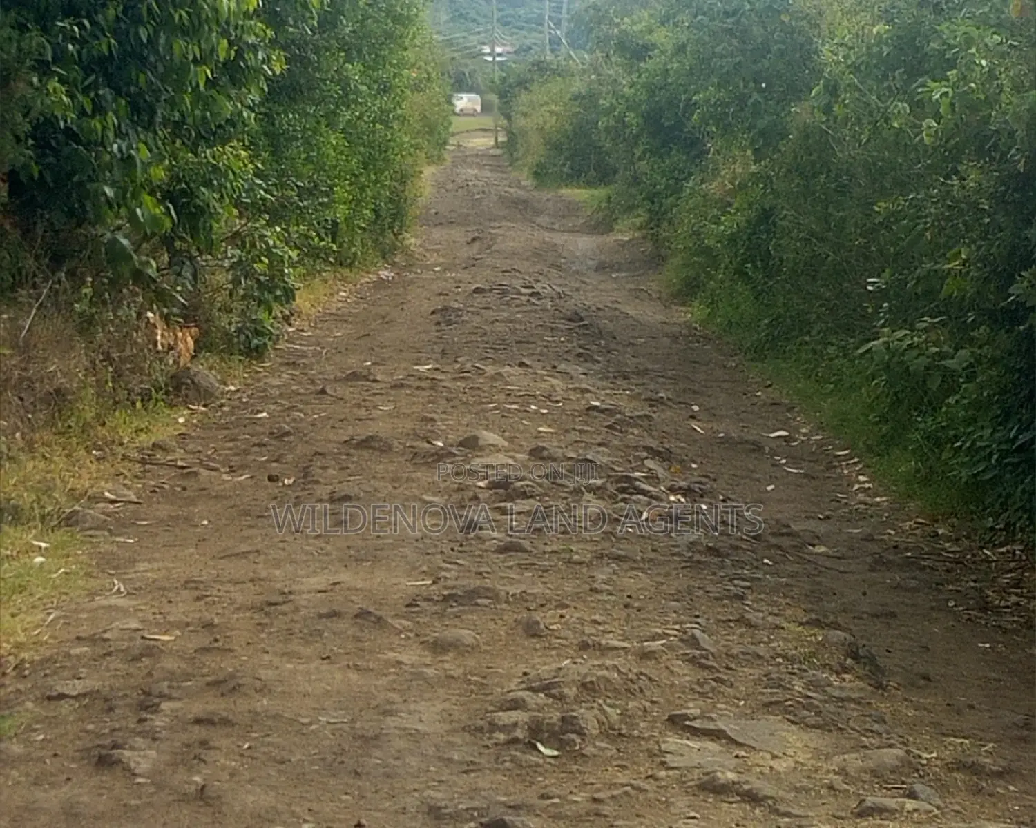 Nyamathi, Naivasha - Discover Your Dream Land for Sale Today! in Naivasha