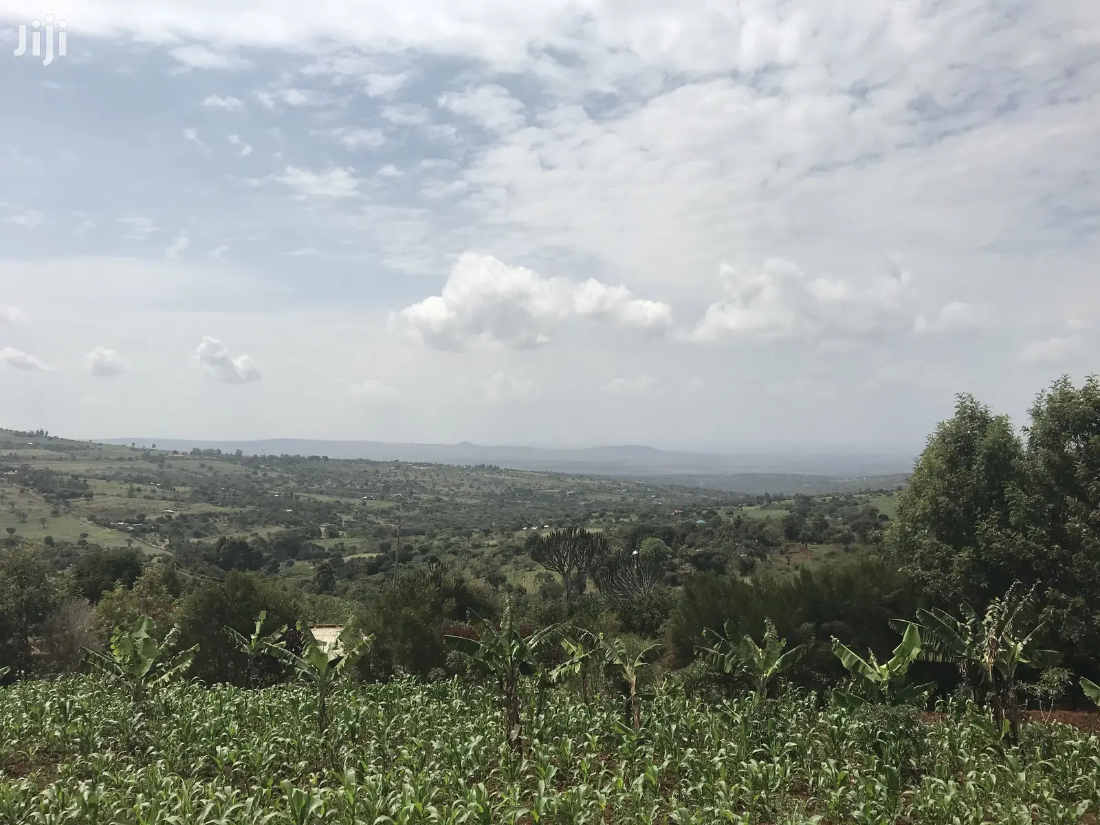 1acre Mua Hills in Mua