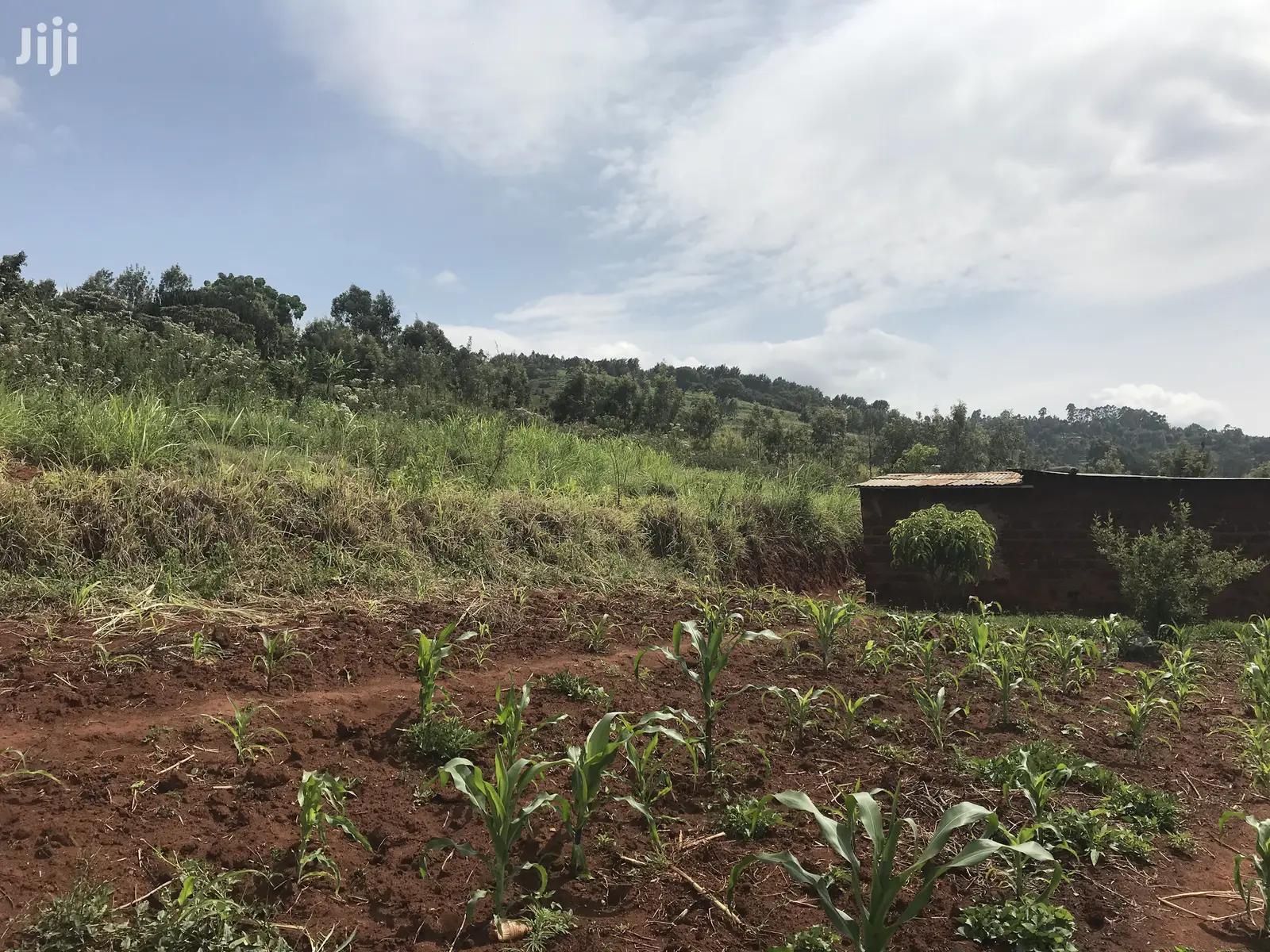 1acre Mua Hills in Mua
