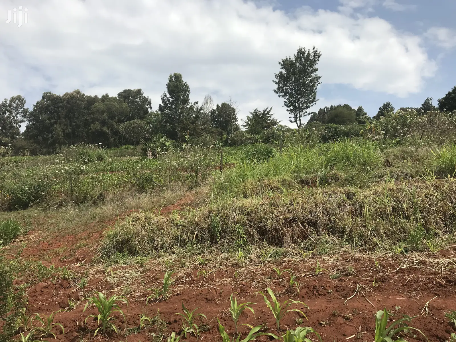1acre Mua Hills in Mua