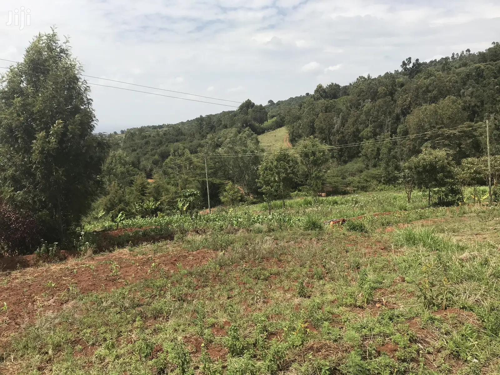 1acre Mua Hills in Mua