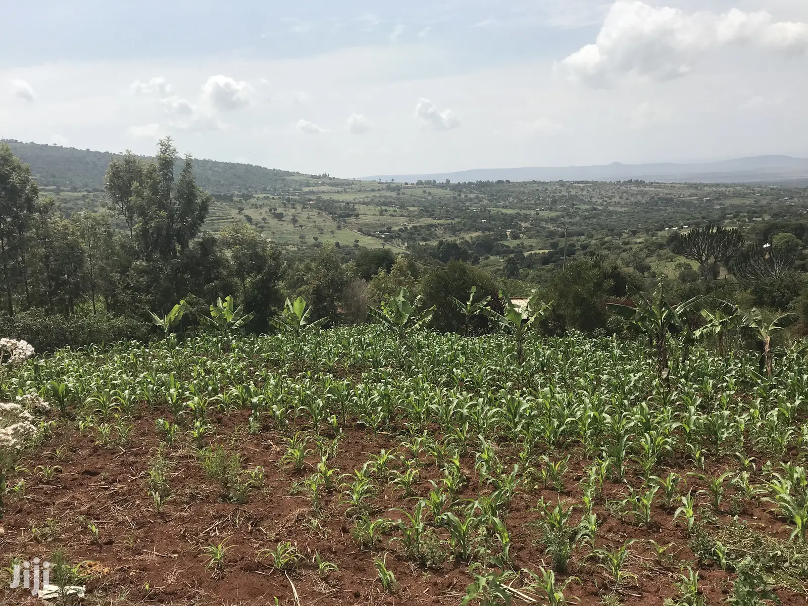 1acre Mua Hills in Mua