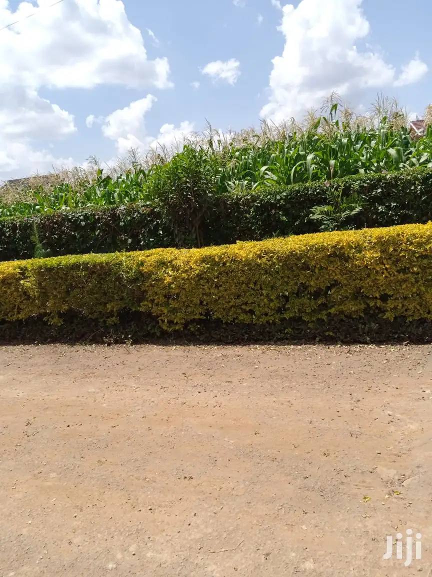 Garden Estate 3/4 Plot - Available at 42m in Mountain View