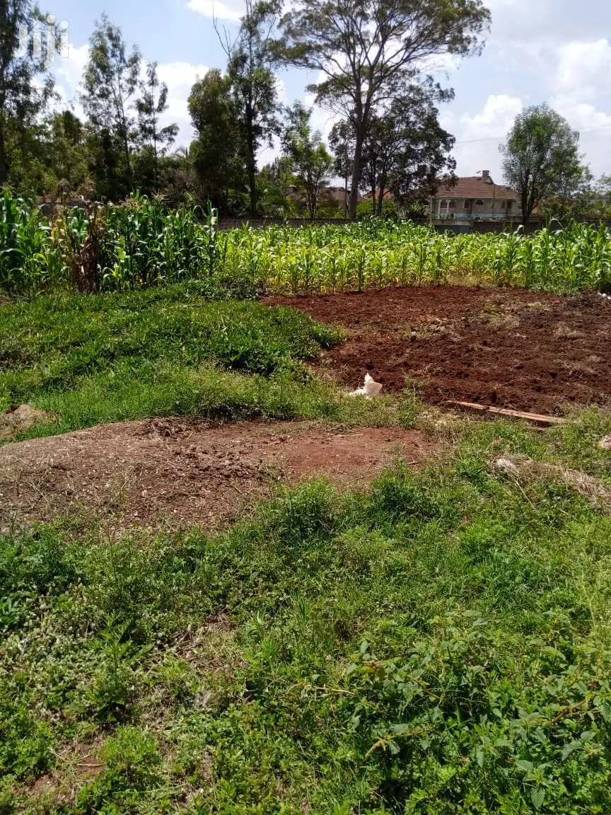 Garden Estate 3/4 Plot - Available at 42m in Mountain View