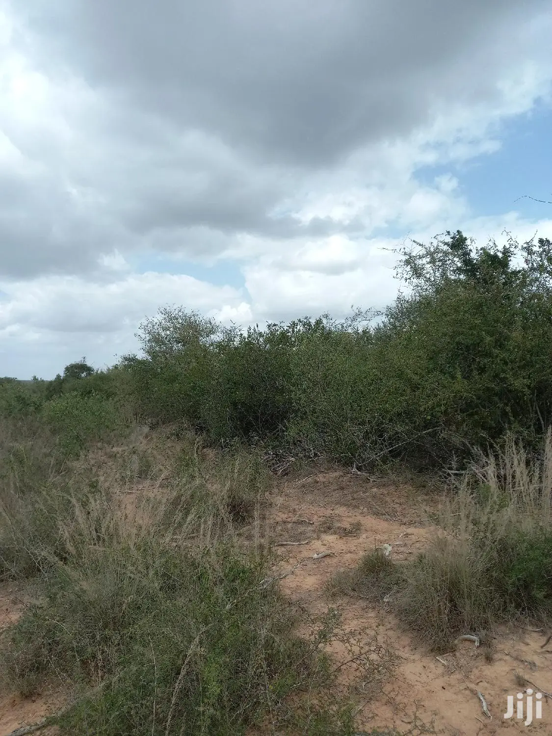 170-Acre Agricultural Land for Sale in Magarini - Prime Investment Opportunity in Magarini