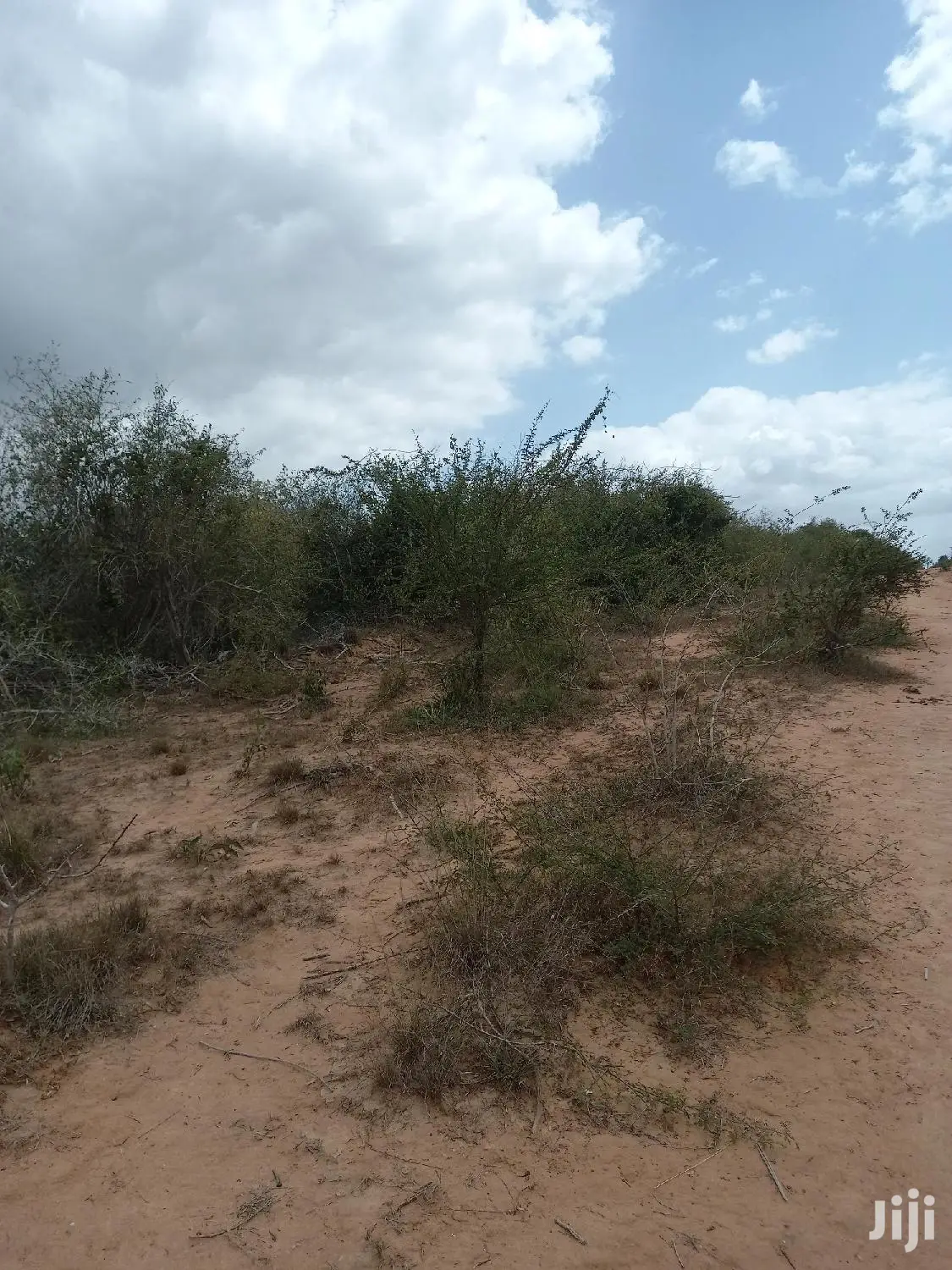 170-Acre Agricultural Land for Sale in Magarini - Prime Investment Opportunity in Magarini