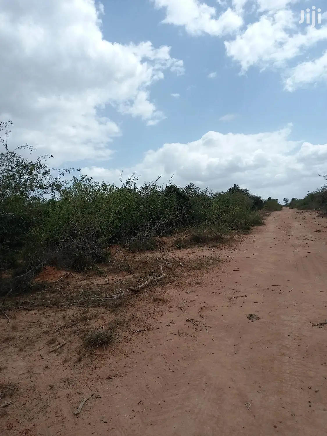 170-Acre Agricultural Land for Sale in Magarini - Prime Investment Opportunity in Magarini
