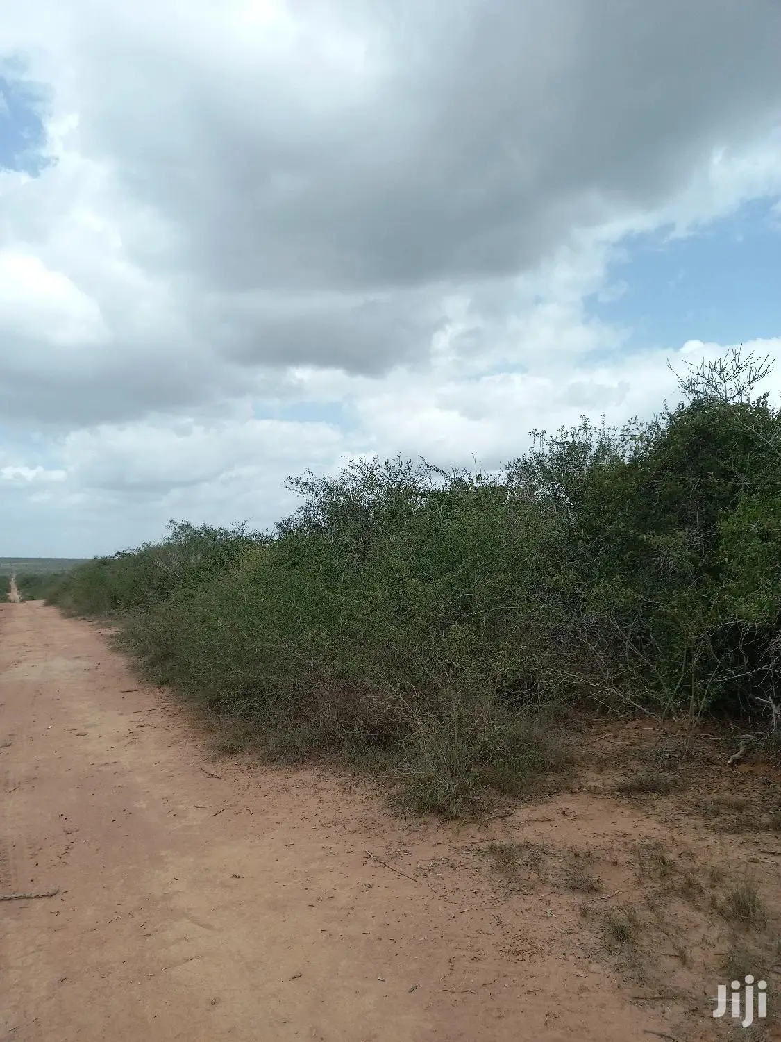 170-Acre Agricultural Land for Sale in Magarini - Prime Investment Opportunity in Magarini