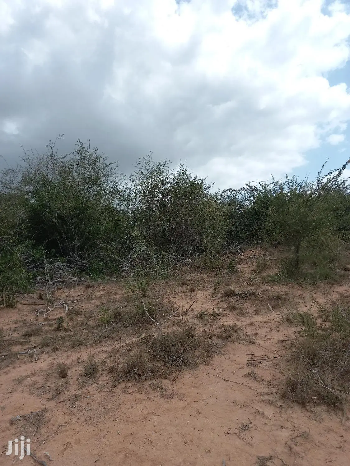 170-Acre Agricultural Land for Sale in Magarini - Prime Investment Opportunity in Magarini