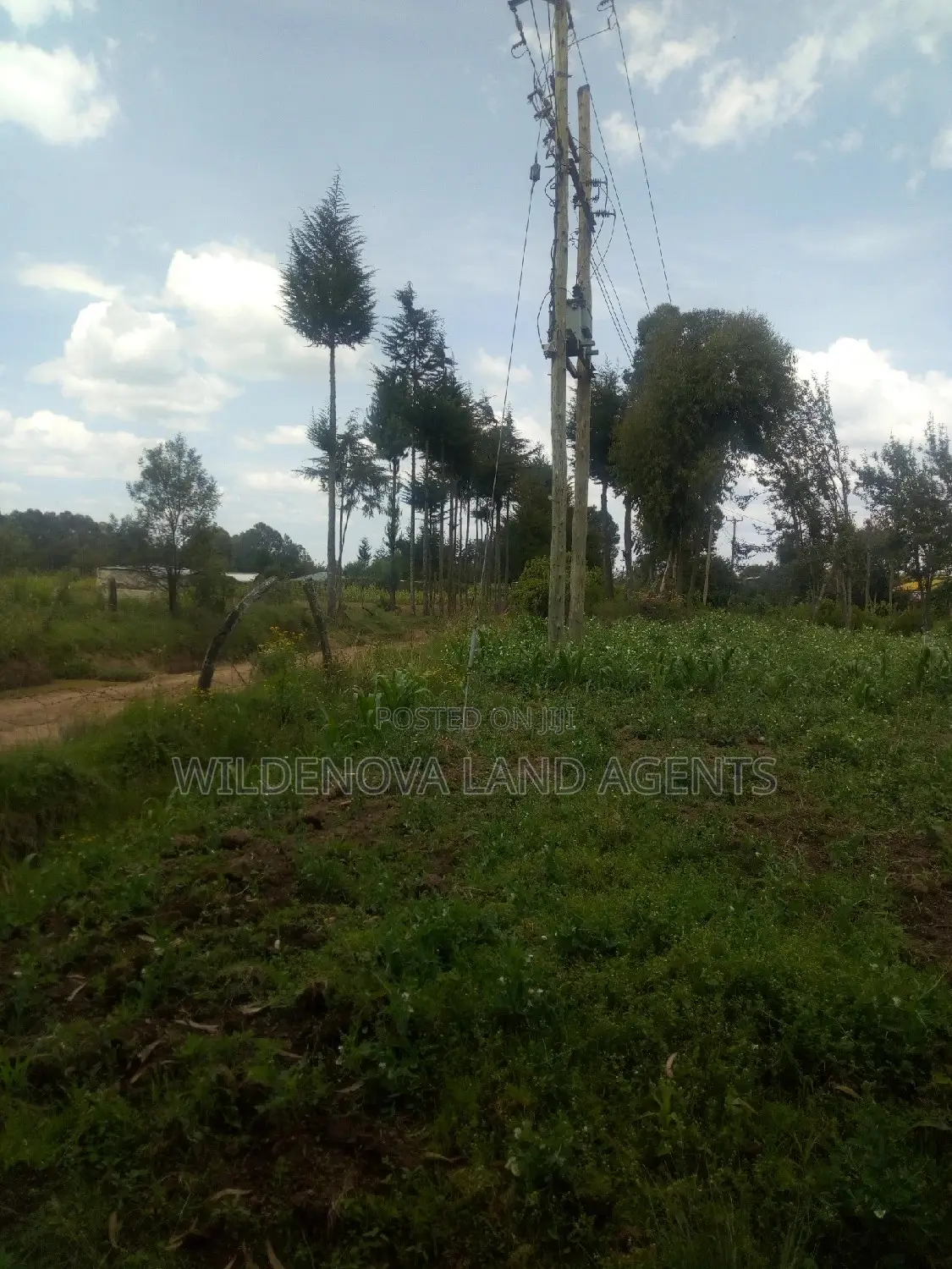 Mwendandu Kinangop Land: Buy Now at Unbeatable Rates in Magumu