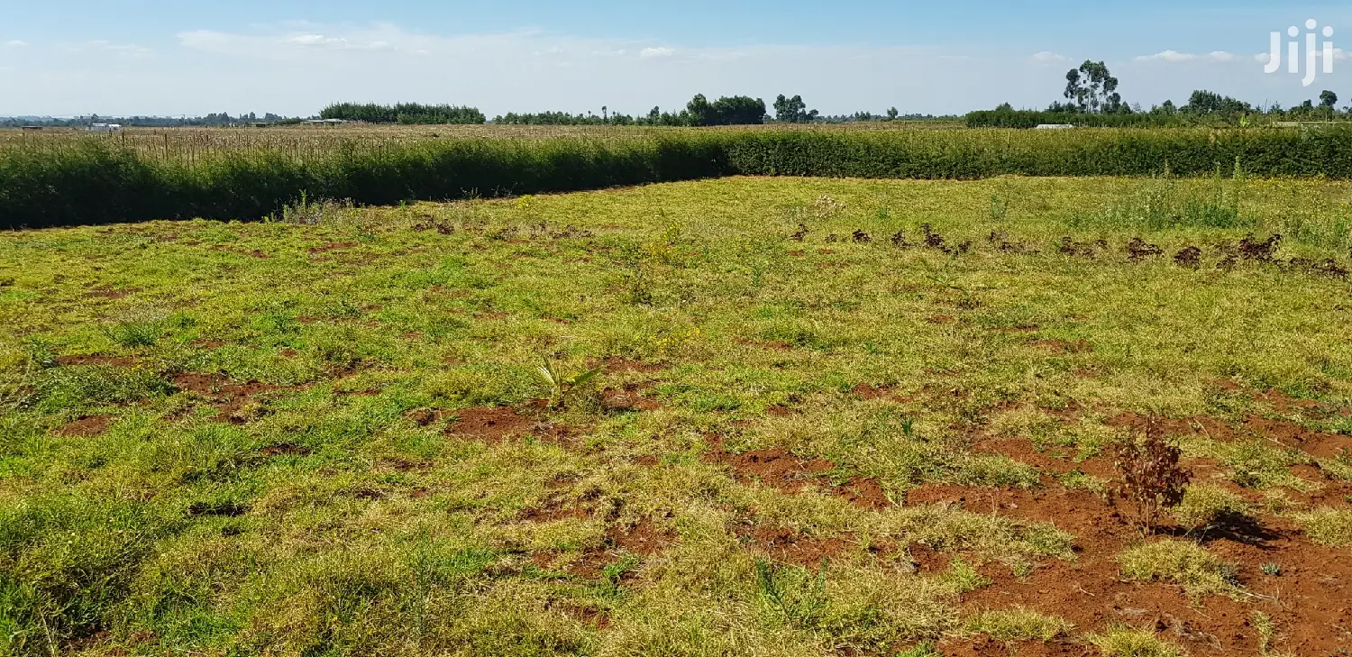 Kapjagir Residential Plots - Affordable & Spacious in Eldoret in Kaptagat