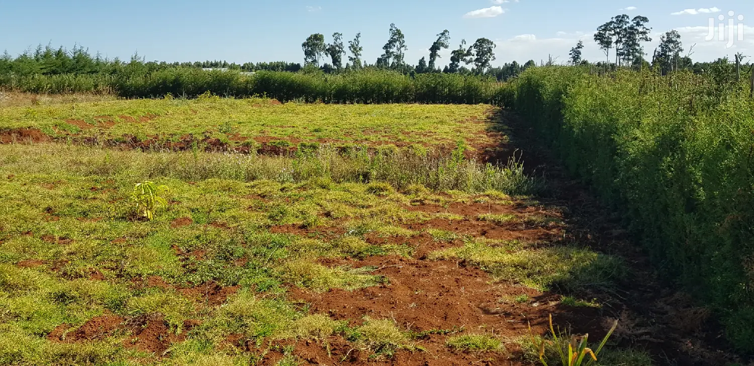 Kapjagir Residential Plots - Affordable & Spacious in Eldoret in Kaptagat