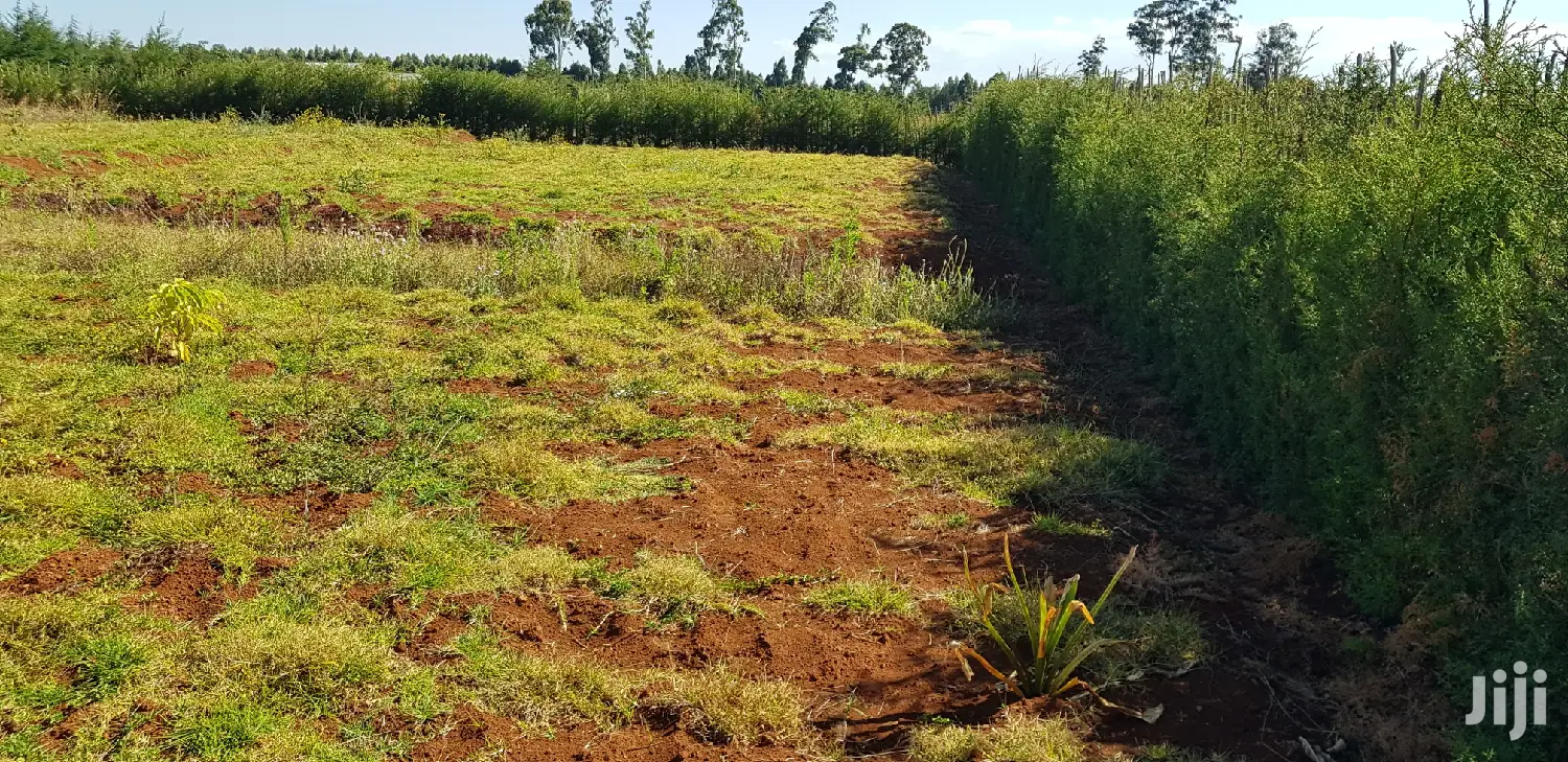 Kapjagir Residential Plots - Affordable & Spacious in Eldoret in Kaptagat