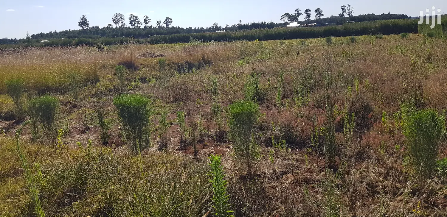 Kapjagir Residential Plots - Affordable & Spacious in Eldoret in Kaptagat