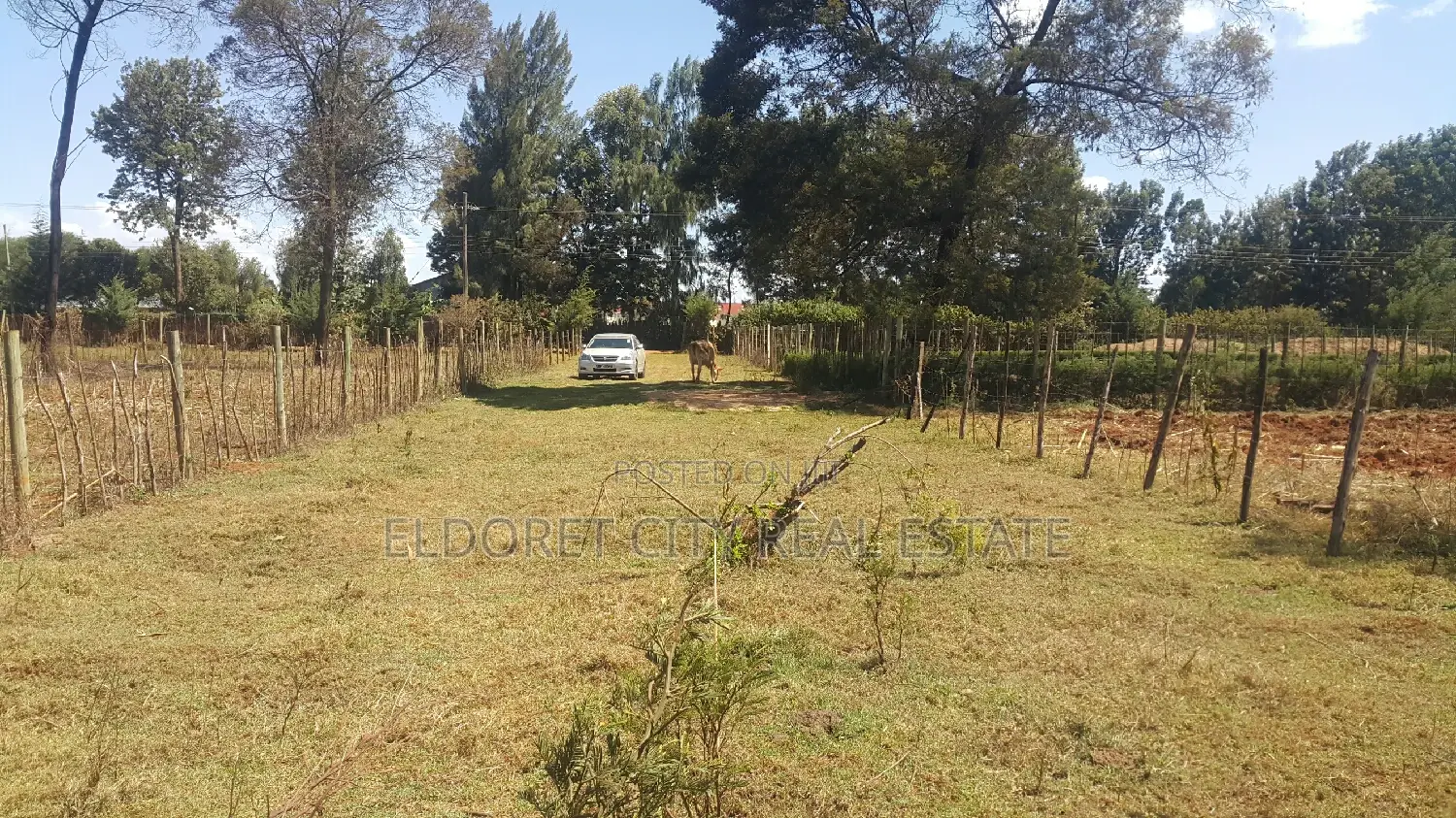 250m from Tarmac: Affordable 1/4 Plot in Kapseret Unity Homes in Eldoret CBD