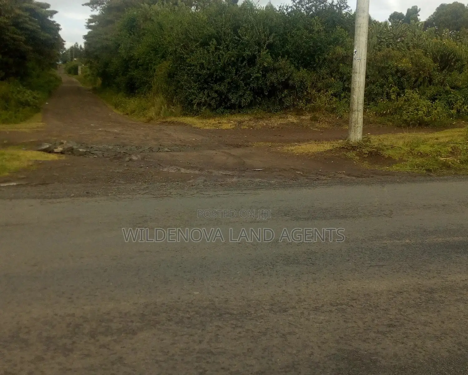 Naivasha Land Sale - 10 Exciting Plots to Consider in Naivasha