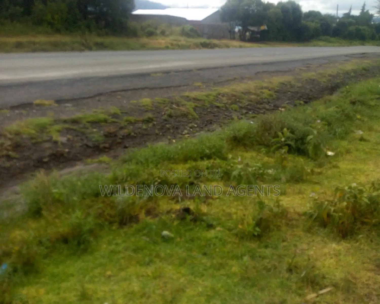 Naivasha Land Sale - 10 Exciting Plots to Consider in Naivasha