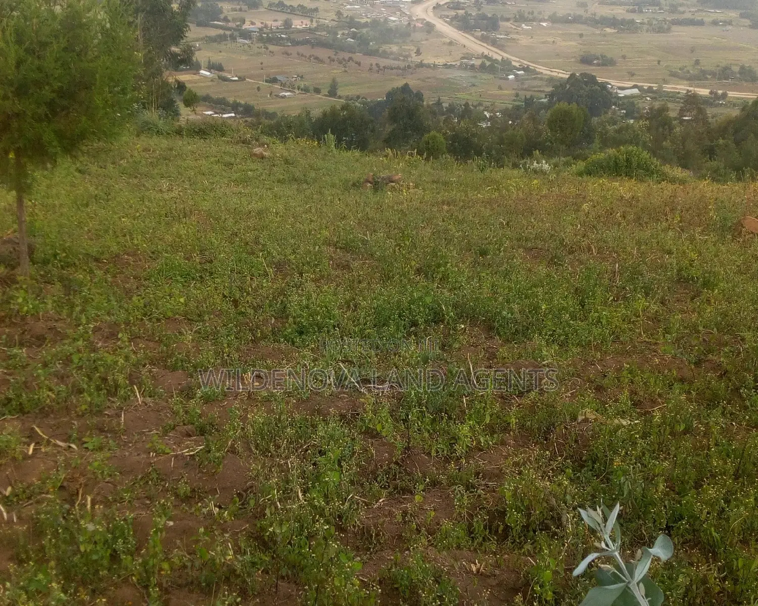 6-Acre Land Opportunity Near Kio Secondary School in Heni, Uganda in Magumu