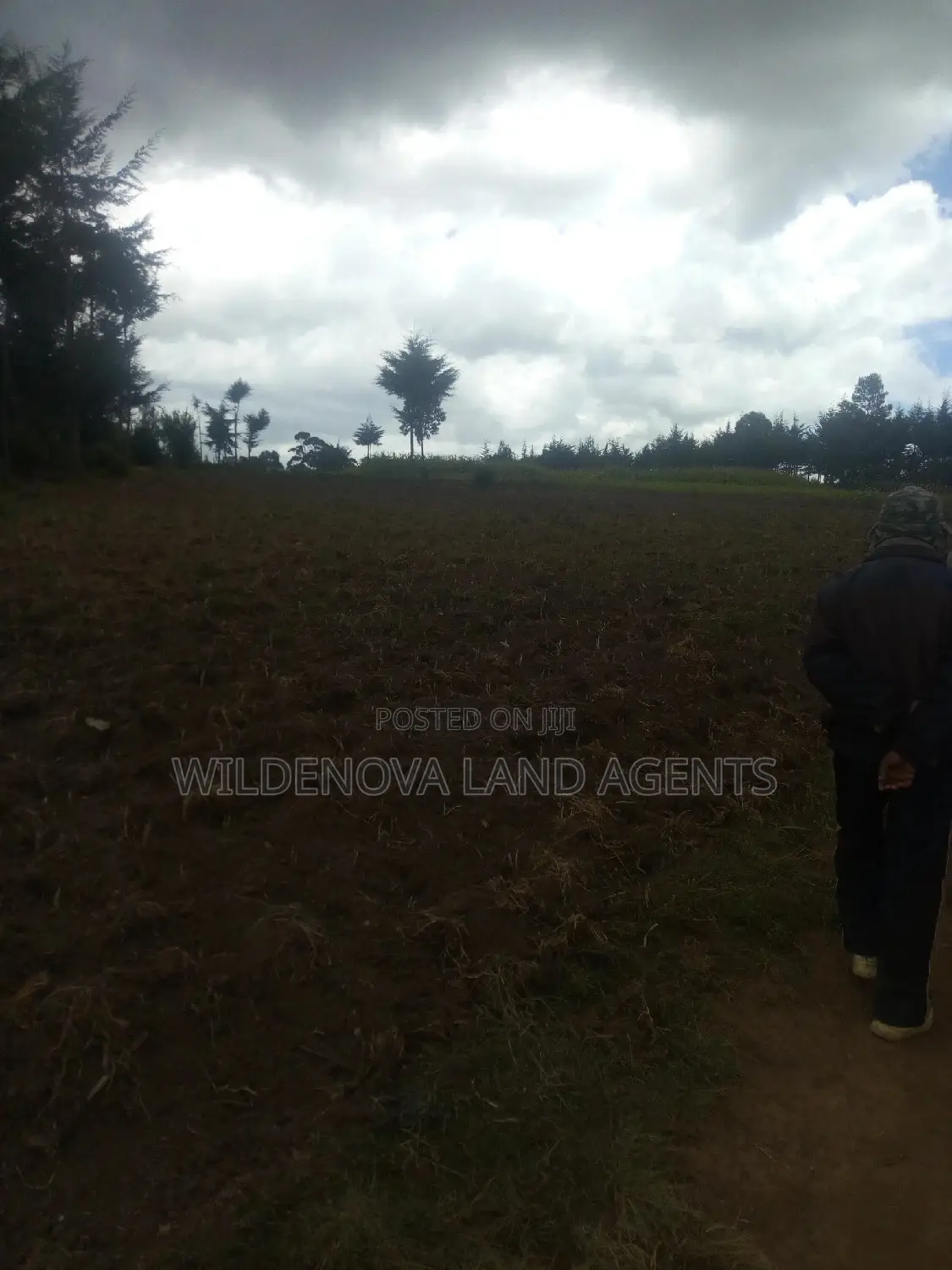 6-Acre Land Opportunity Near Kio Secondary School in Heni, Uganda in Magumu