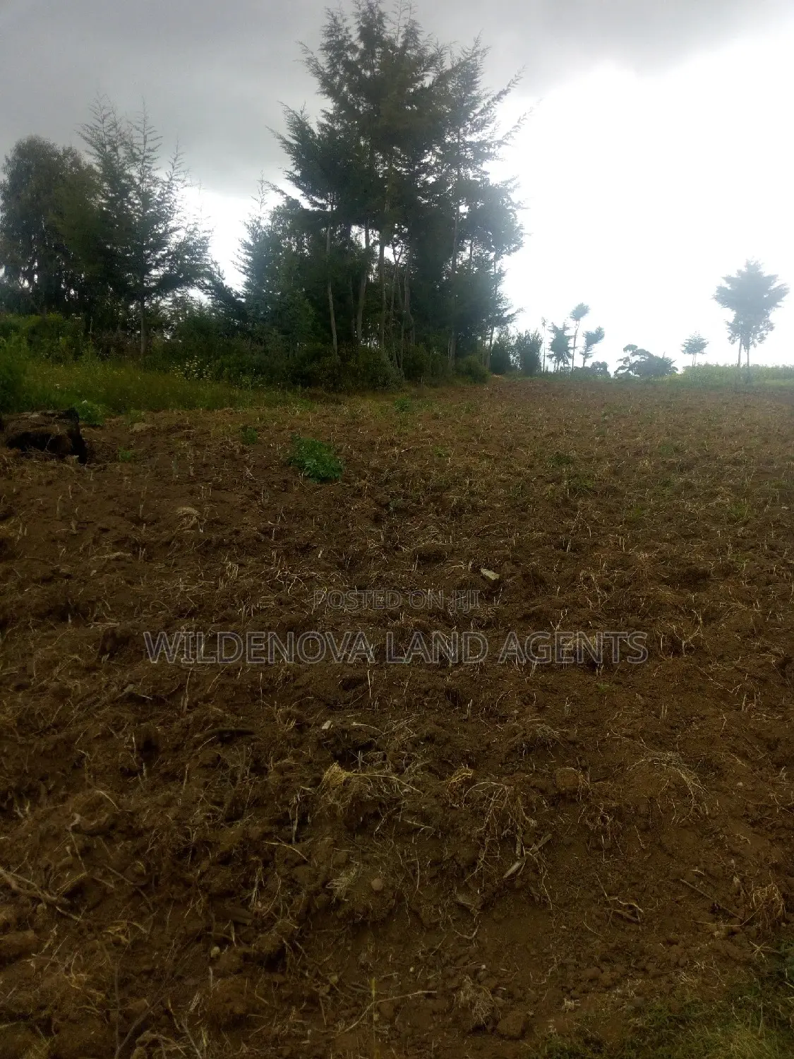 6-Acre Land Opportunity Near Kio Secondary School in Heni, Uganda in Magumu