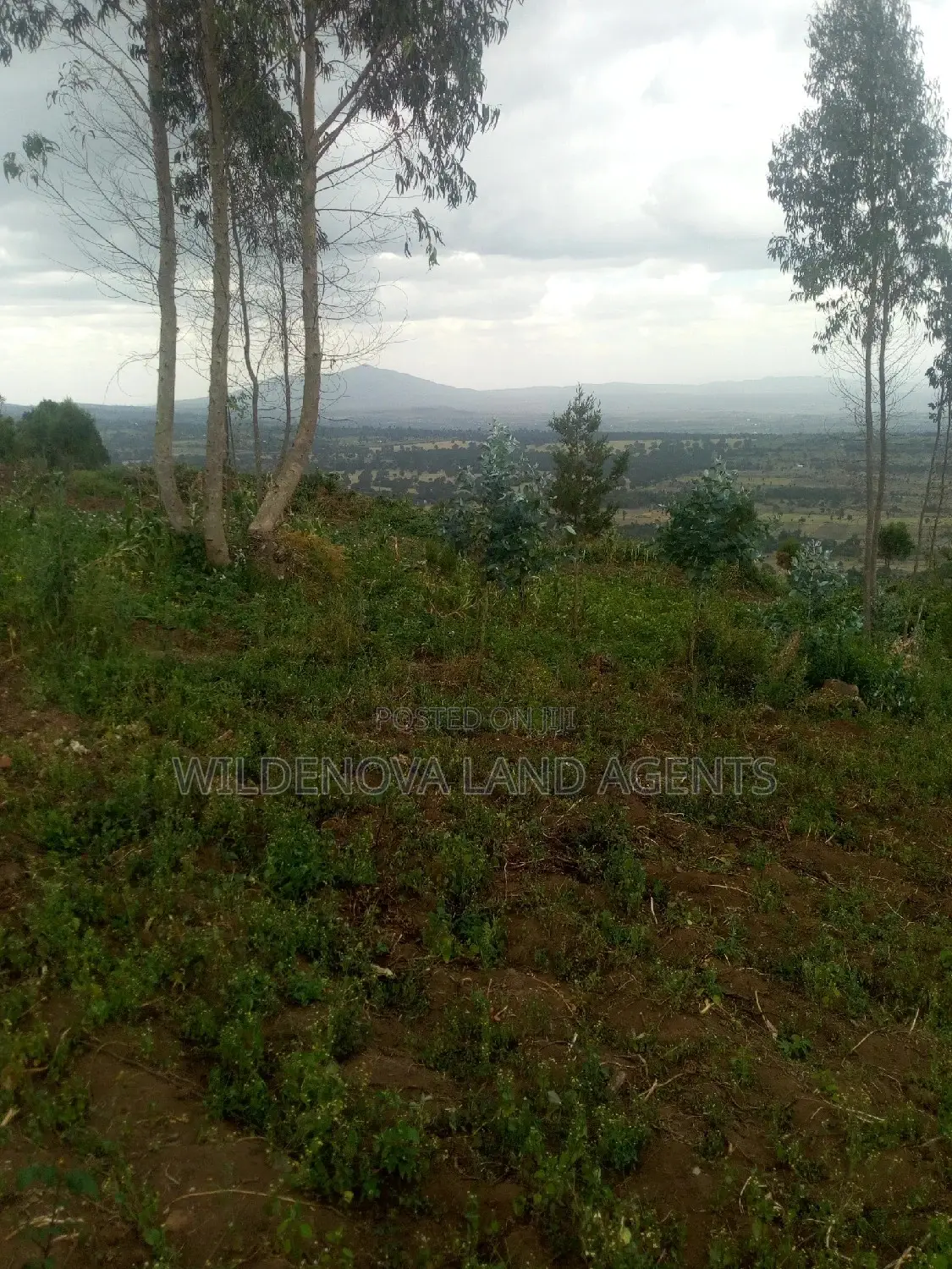 6-Acre Land Opportunity Near Kio Secondary School in Heni, Uganda in Magumu