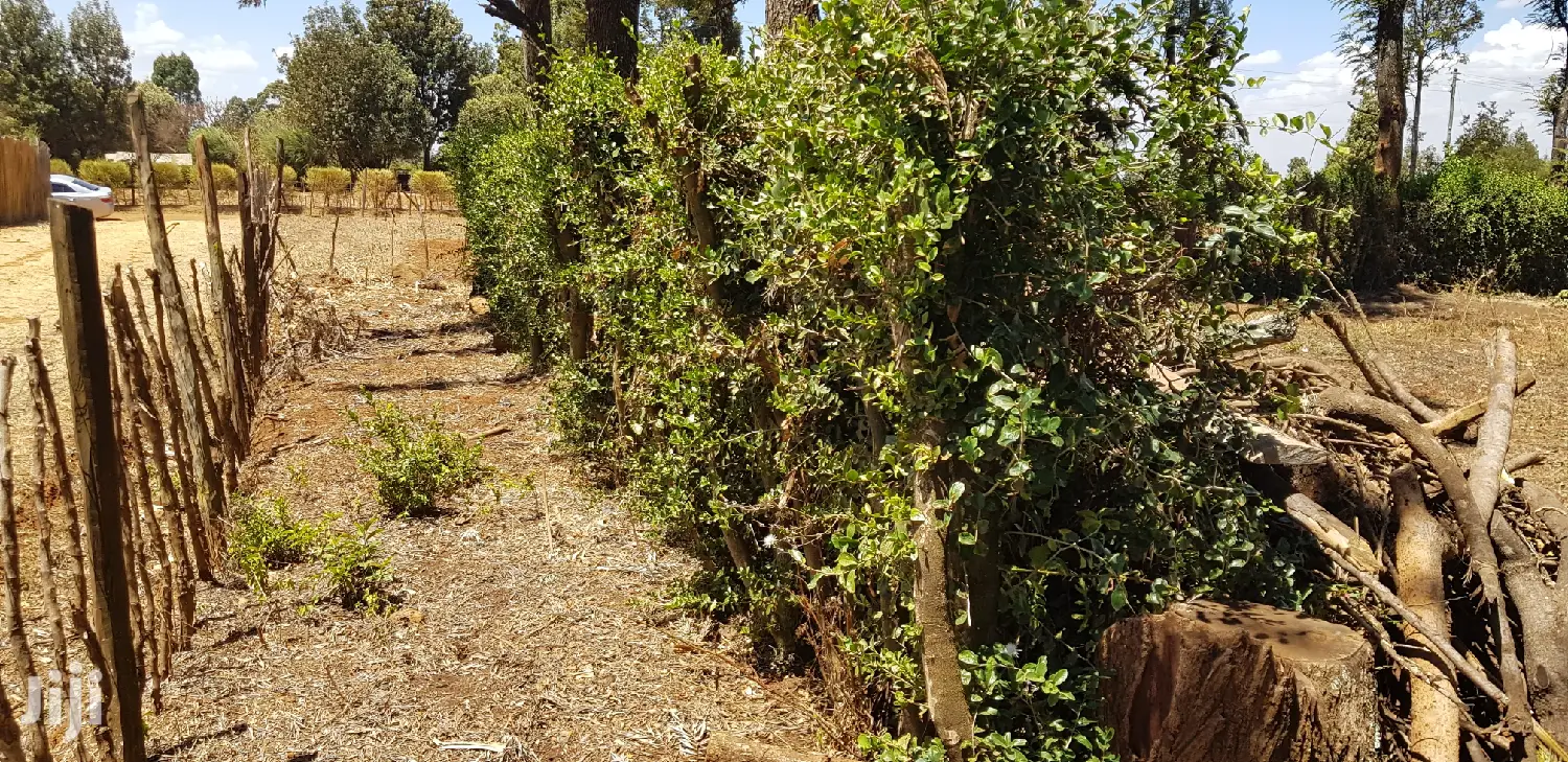 Buy Land in Kuinet Eldoret: Affordable Plots Available in Kimumu