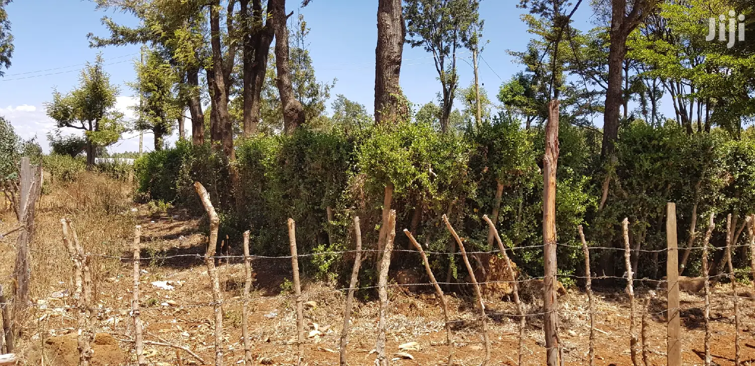 Buy Land in Kuinet Eldoret: Affordable Plots Available in Kimumu