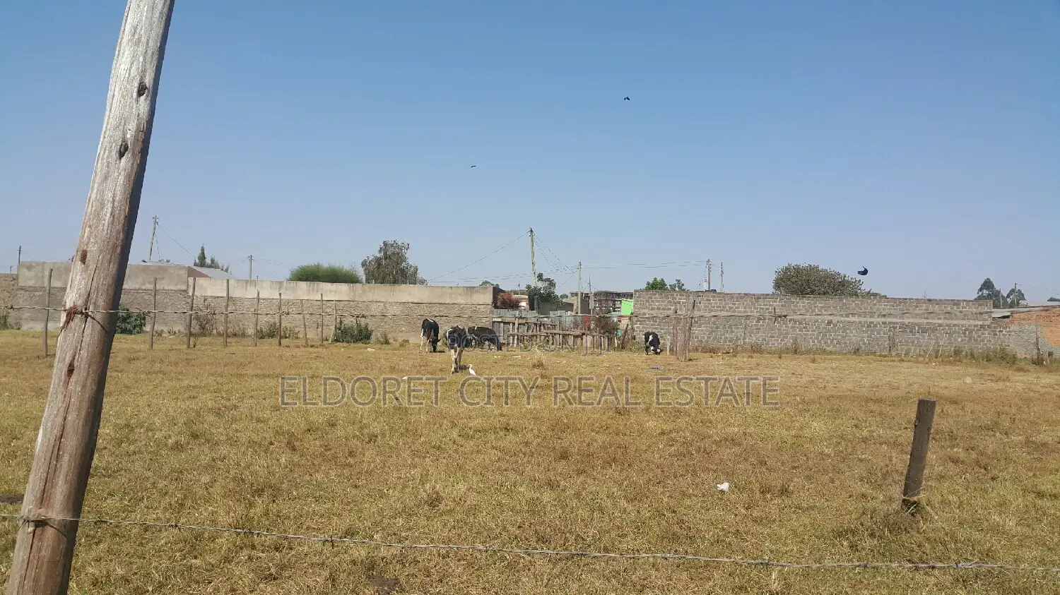 1/4 Plot in Kimumu, Hawaii: 250m From Tarmac Road in Eldoret CBD