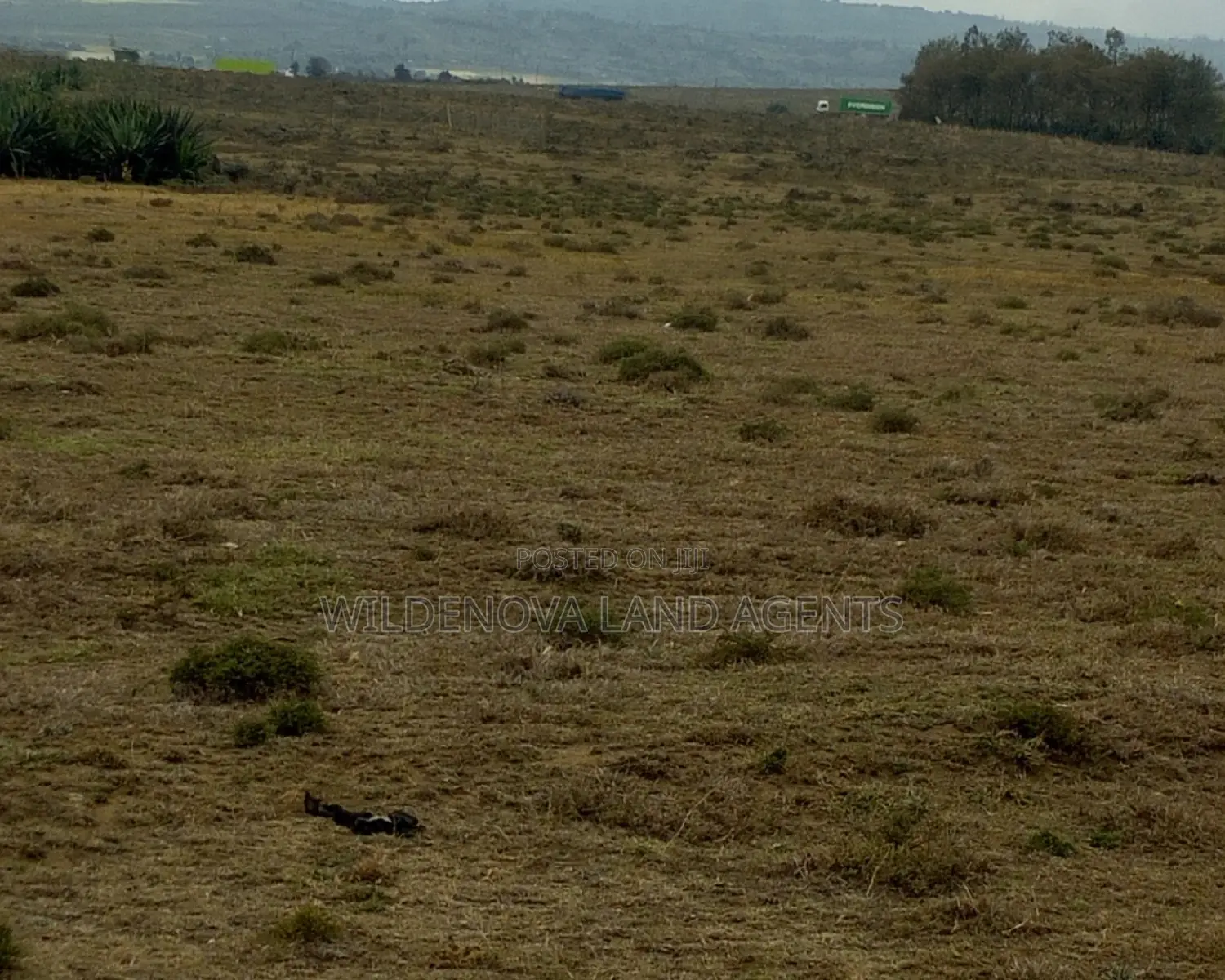 3 Acres in Longonot, Naivasha: Perfect for Commercial or Residential Use - For Sale Today in Naivasha