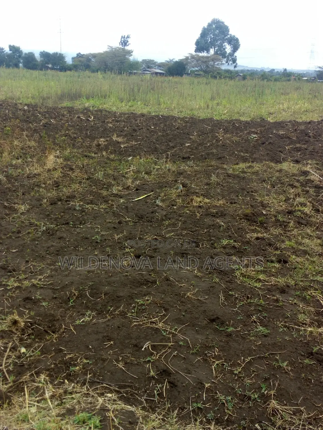 Land Available for Purchase in Nyamathi Karai Naivasha in Naivasha