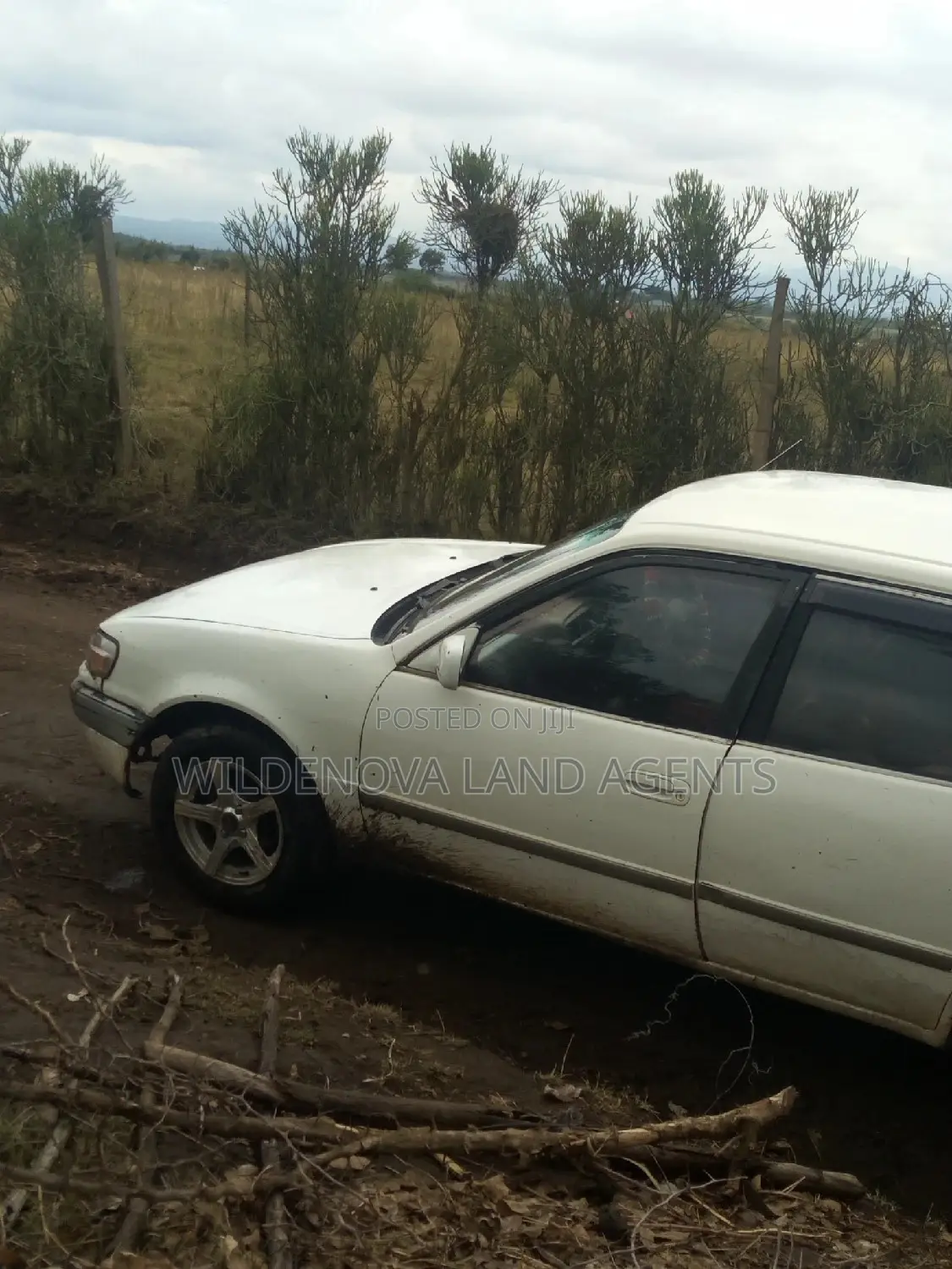 Land Available for Purchase in Nyamathi Karai Naivasha in Naivasha