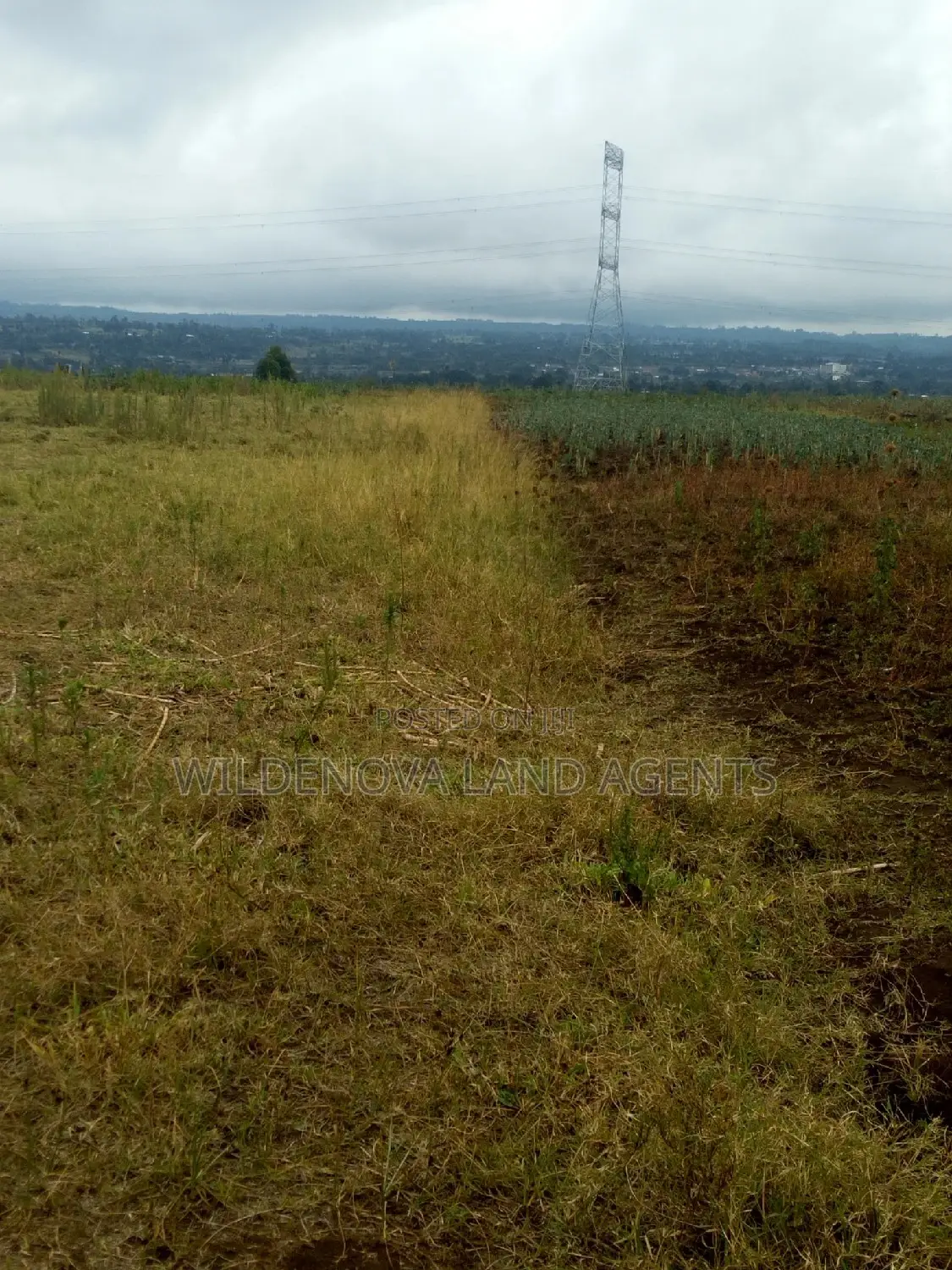 Land Available for Purchase in Nyamathi Karai Naivasha in Naivasha