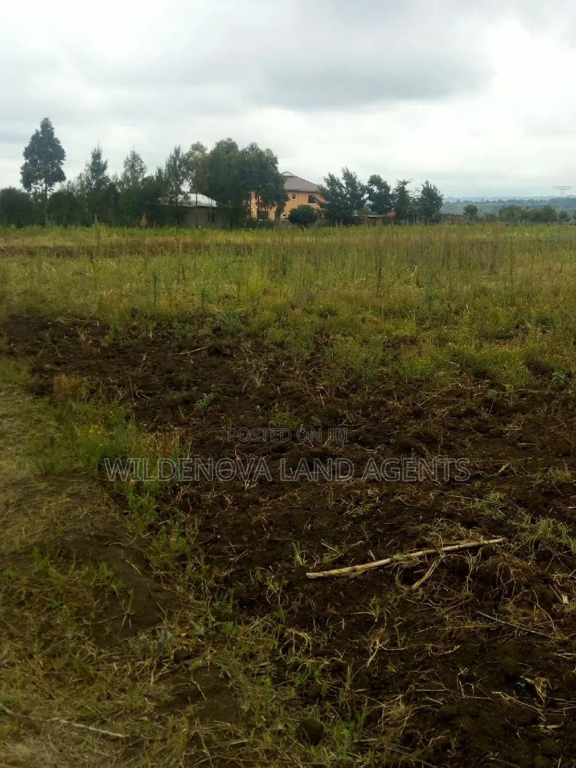 Land Available for Purchase in Nyamathi Karai Naivasha in Naivasha