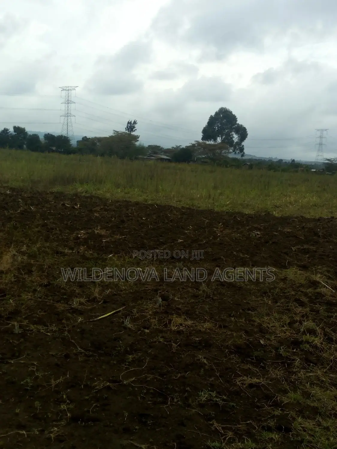 Land Available for Purchase in Nyamathi Karai Naivasha in Naivasha