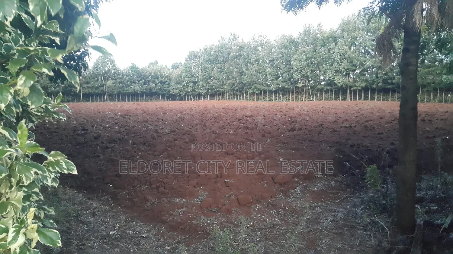 One-Acre Land in Elgonview - Ideal for Residential in Eldoret CBD