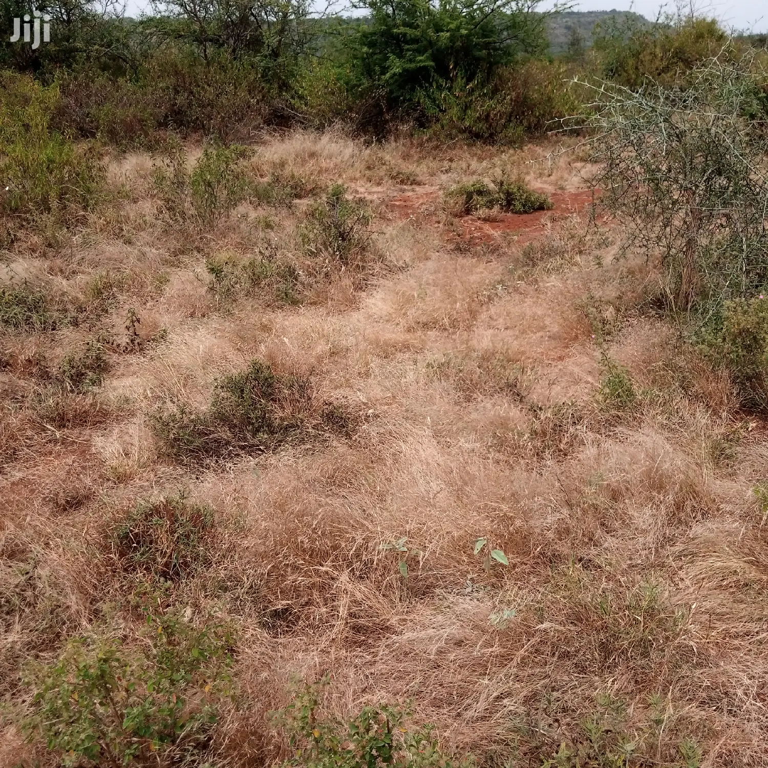 30 Acres Farming Land Lentoko in Ewuaso Oonkidong'I