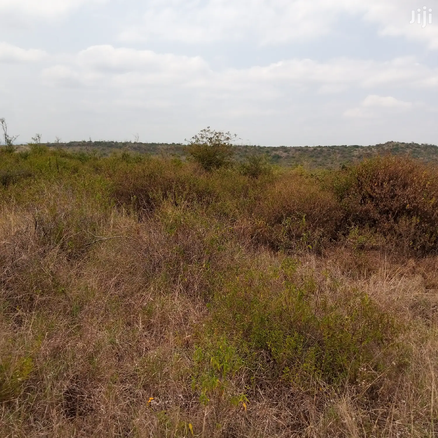 30 Acres Farming Land Lentoko in Ewuaso Oonkidong'I