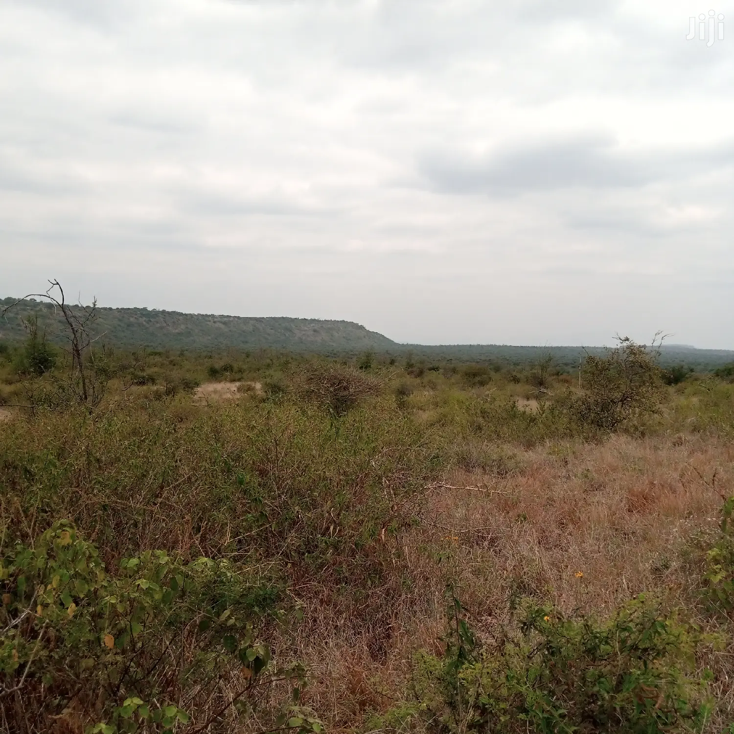 30 Acres Farming Land Lentoko in Ewuaso Oonkidong'I