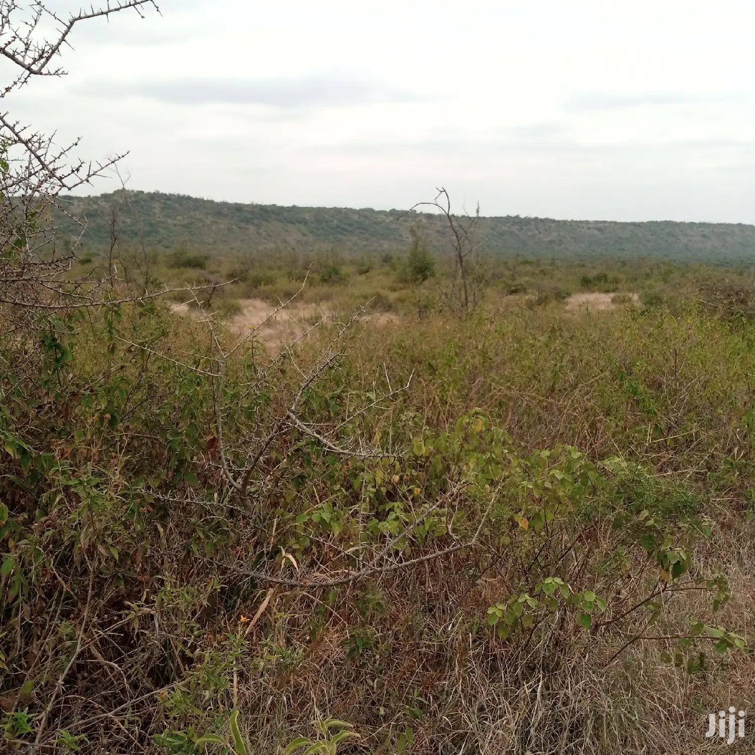 30 Acres Farming Land Lentoko in Ewuaso Oonkidong'I