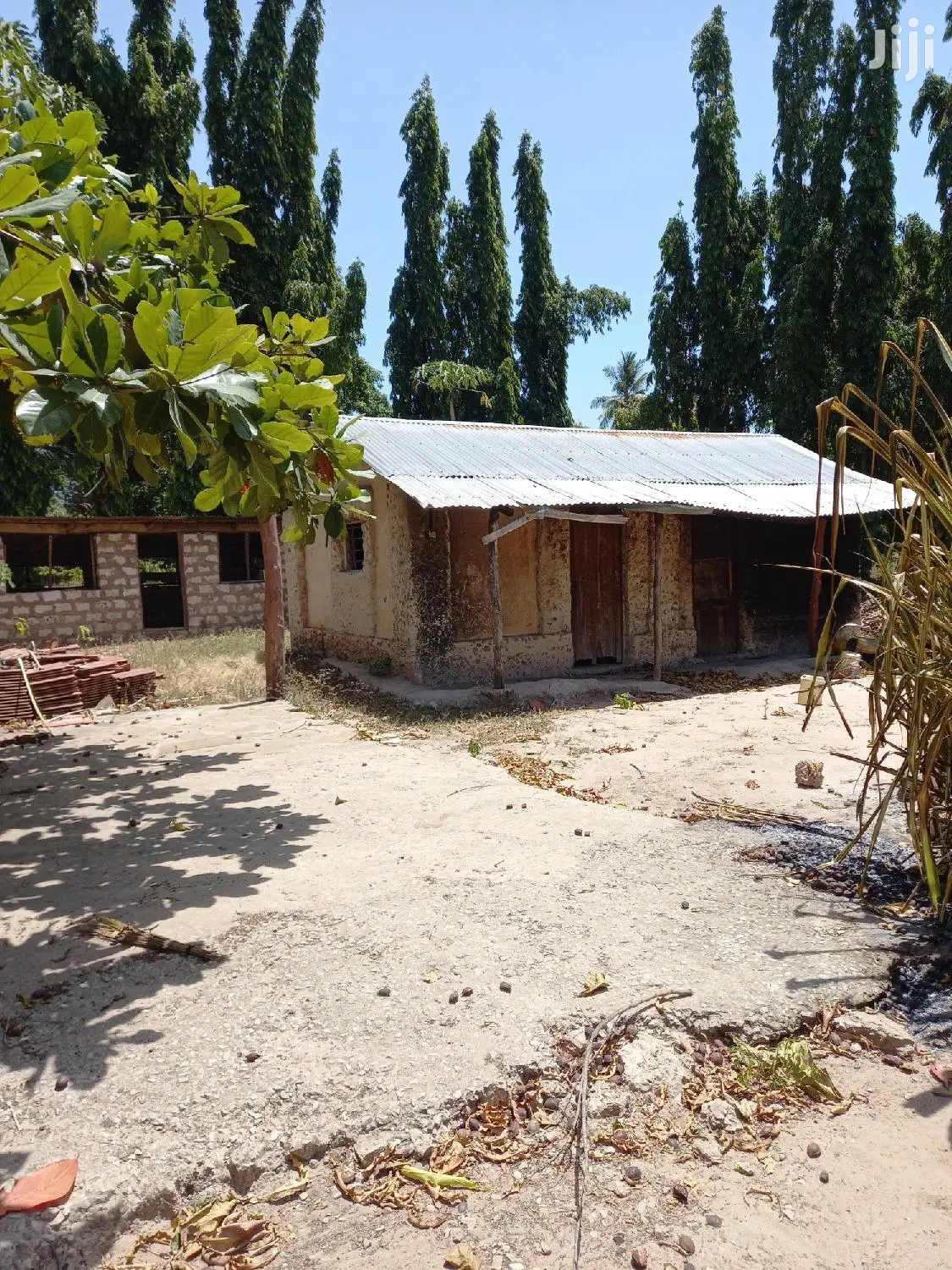 Invest in 5 Acres of Agricultural Land in Kikambala - Ideal for Farming and Development in Mtwapa