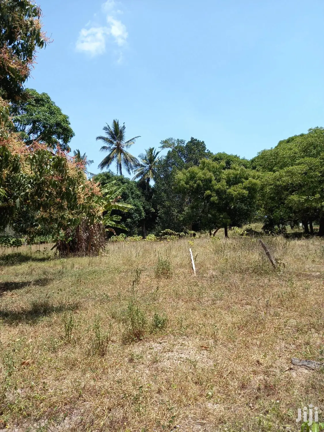 Invest in 5 Acres of Agricultural Land in Kikambala - Ideal for Farming and Development in Mtwapa