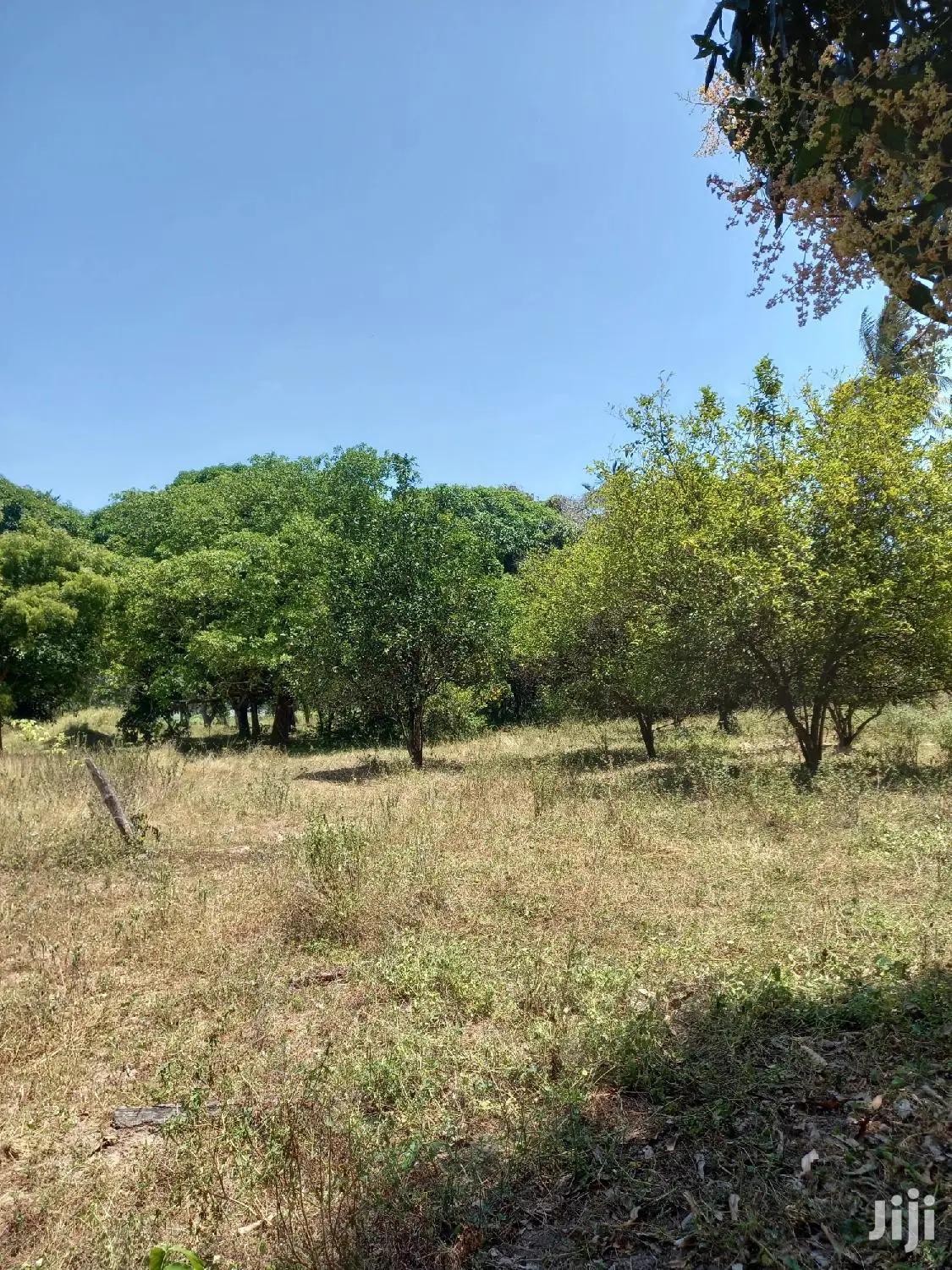 Invest in 5 Acres of Agricultural Land in Kikambala - Ideal for Farming and Development in Mtwapa