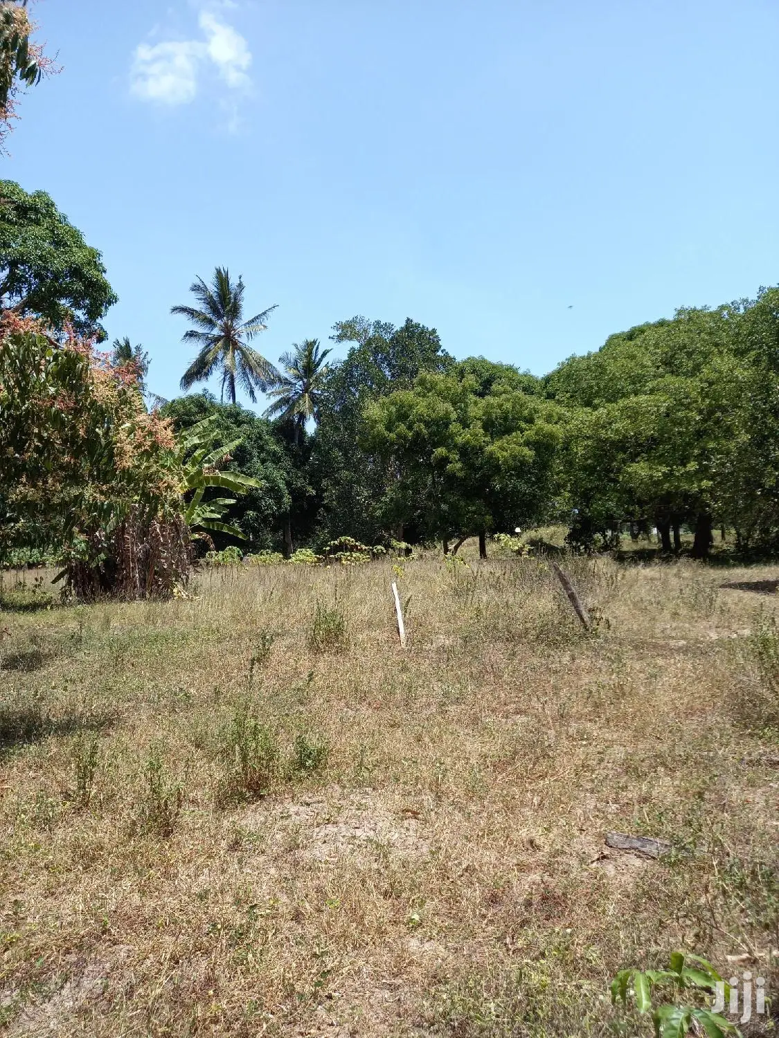 Invest in 5 Acres of Agricultural Land in Kikambala - Ideal for Farming and Development in Mtwapa