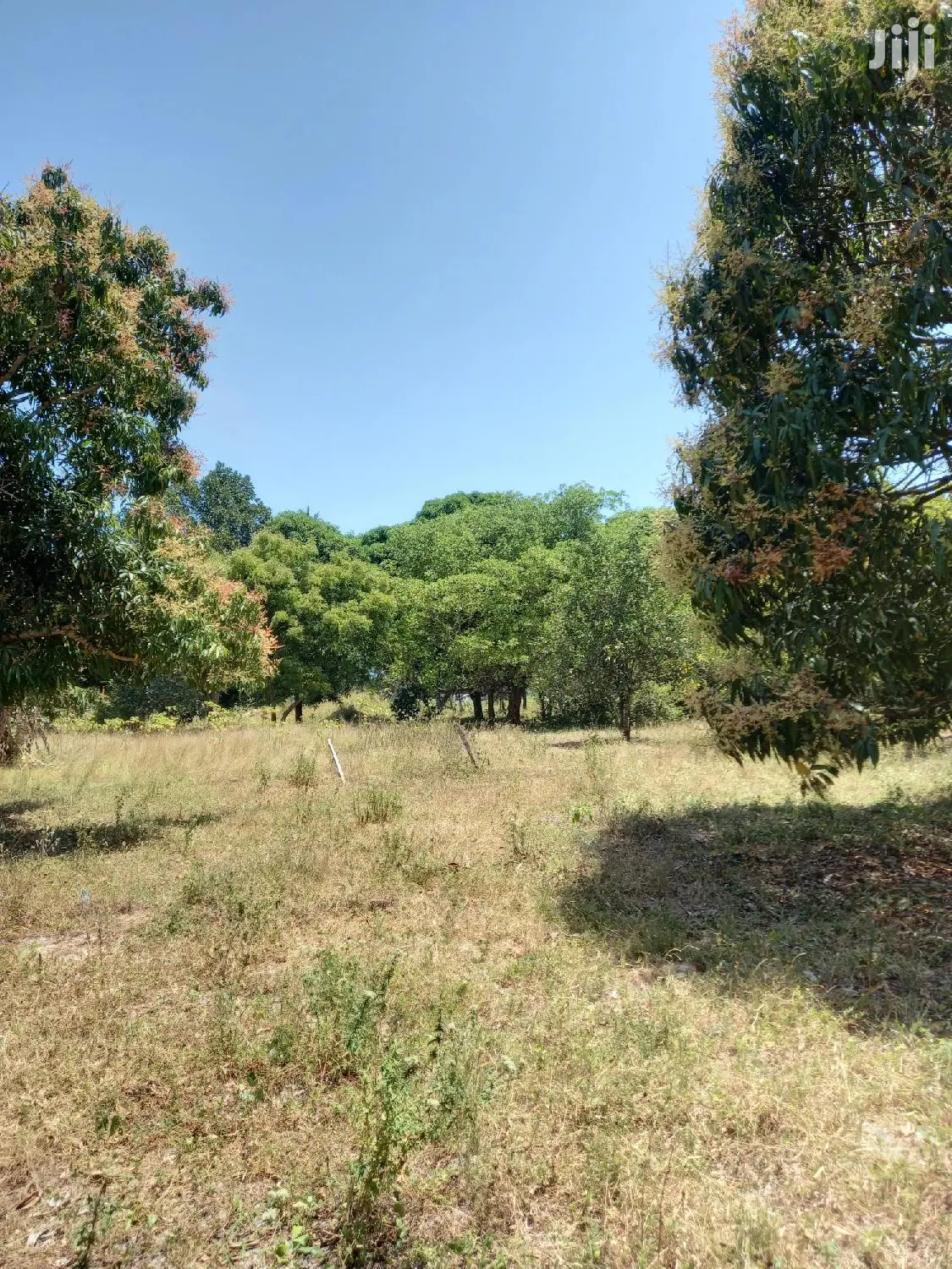 Invest in 5 Acres of Agricultural Land in Kikambala - Ideal for Farming and Development in Mtwapa