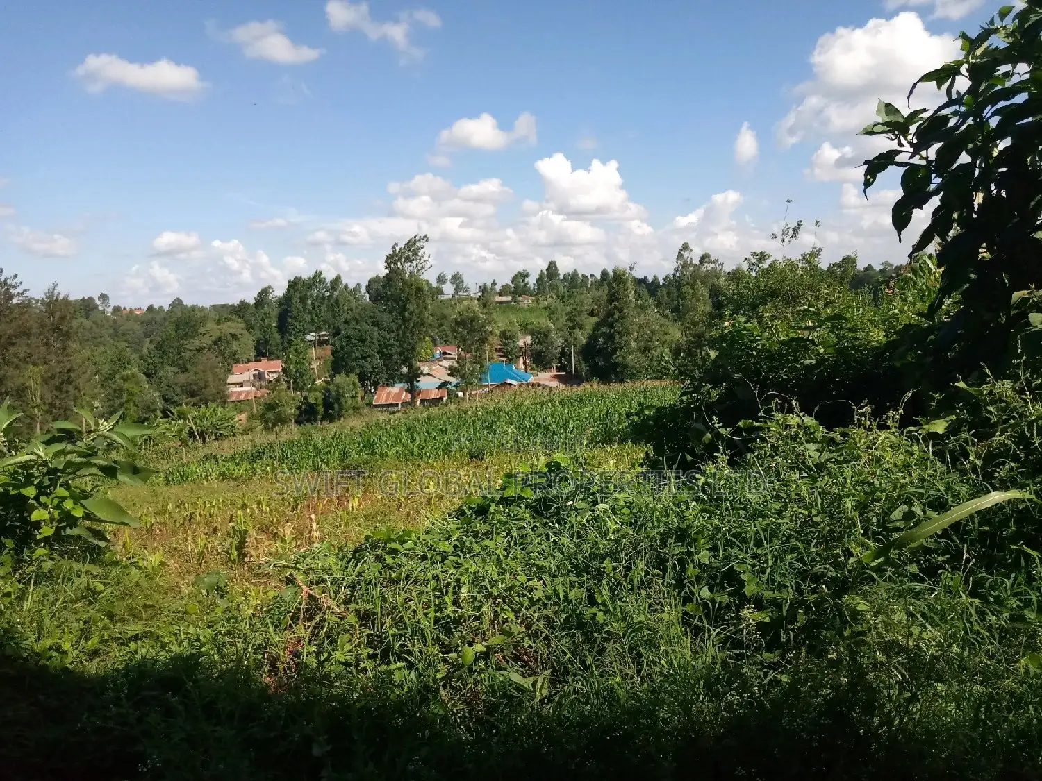 Spacious 0.5 Acre Land for Sale in Karura Kanyungu, Kiambu in Kihara