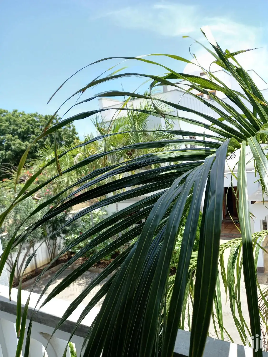 Spacious 4-Bedroom Property in Old Nyali - Your Dream Home Awaits in Nyali