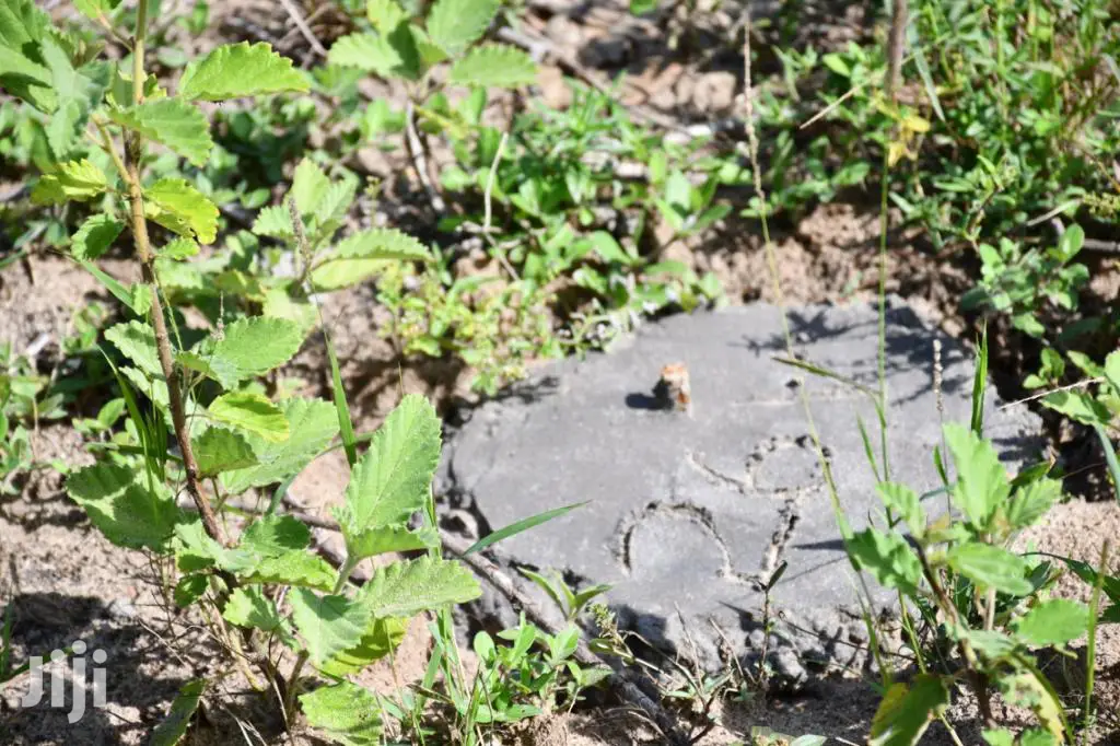 Tezo Kilifi 1-Acre Plot for Sale - Perfect for Your Dream Home or Business! in Sokoni